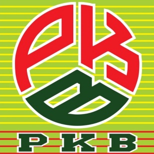 PKB Logo